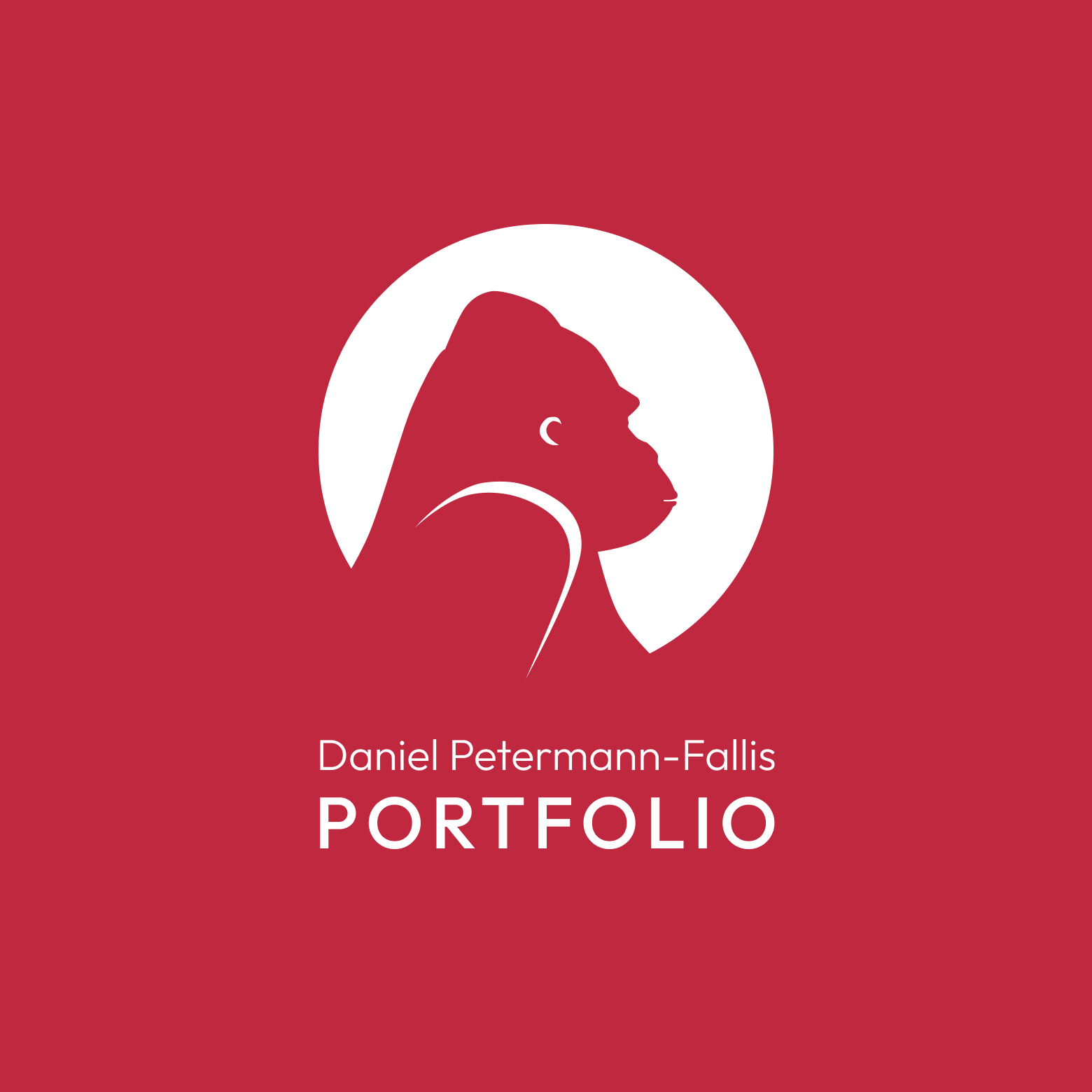 Portfolio von Daniel Petermann-Fallis als PDF zum Download