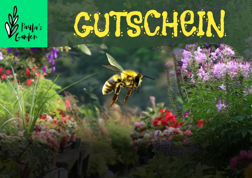 Gutscheinvorschau von Happy Bees