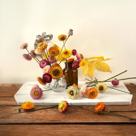 Trockenblumen-Arrangement mit Strohblumen und gelben Blättern, dekorativ auf einem weißen Brett arrangiert.